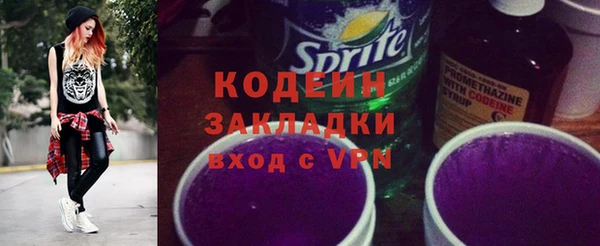 ГАЛЛЮЦИНОГЕННЫЕ ГРИБЫ Тутаев