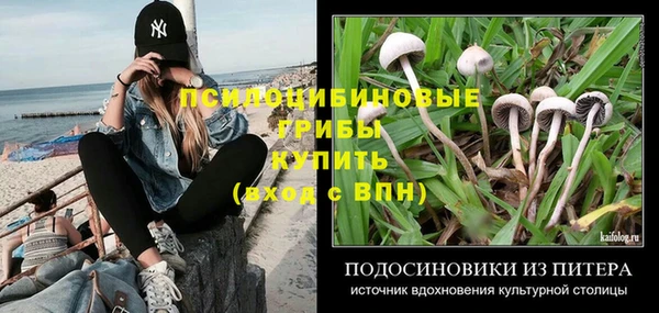герыч Туринск