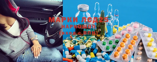 ГАЛЛЮЦИНОГЕННЫЕ ГРИБЫ Тутаев