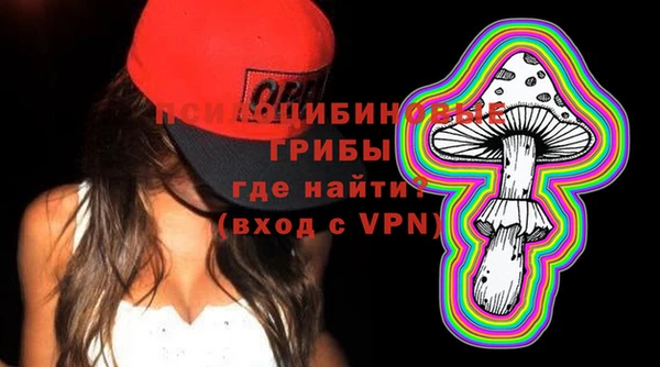 ГАЛЛЮЦИНОГЕННЫЕ ГРИБЫ Тутаев