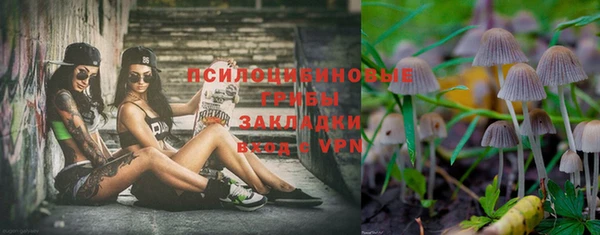 герыч Туринск