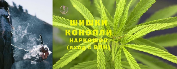 ГАЛЛЮЦИНОГЕННЫЕ ГРИБЫ Тутаев