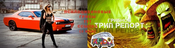 герыч Туринск